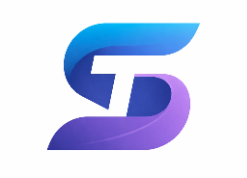 STecWins Inc logo